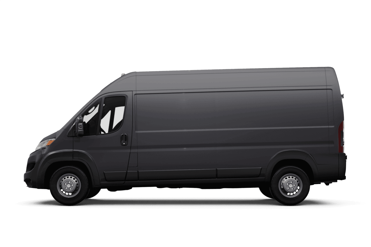 Ram false - Side view Ram false - Side view